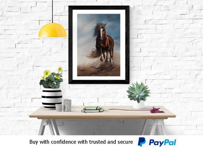 Horse  Framed Prints